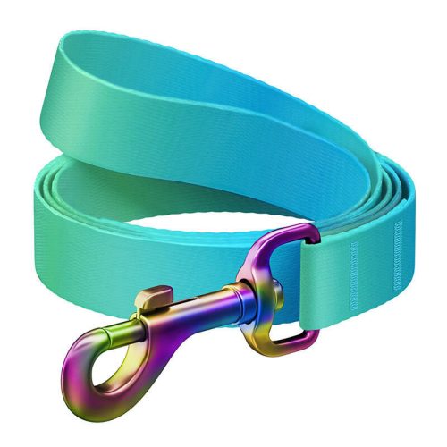 WAUDOG gradient nylon dog leash, 20 mm wide, 122 cm long blue